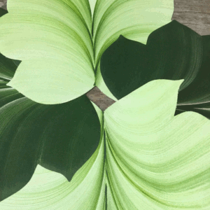 Hand Painted Placemats - Leaves