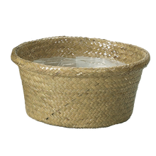 50 Pcs - Natural Palm Leaf Rolled Rim Dish Garden Baskets - 10 Inch