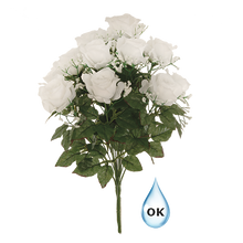 Case of 6 - 20" White Rose Watertight Bush x 14