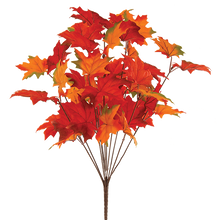 Case of 6 - 19" Maple Leaf Bush x 11