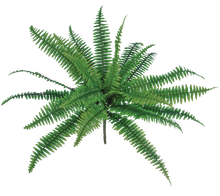 Case of 12 - 20" Real Touch Boston Fern