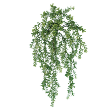 Case of 12 - 24" Boxwood Vine x 9