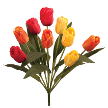 Case of 12 - 18" Tulip Bush x 9