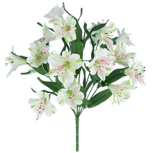Case of 6 - 18" Alstroemeria Bush x 9