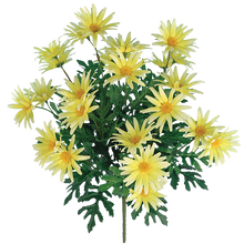 Case of 6 - 19" Wild Daisy Bush Yellow  x 12