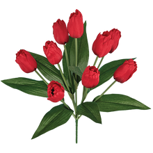 Case of 6 - 18" Red Tulip Bush x 9