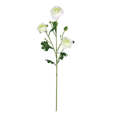 Case of 12 - 28" White Ranunculus Spray