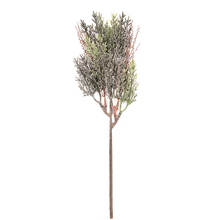 Case of 24 - 14" Cypress Plastic Spray W/Frost