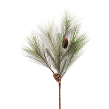 Case of 12 - 28" Colorado Pine W/Cones