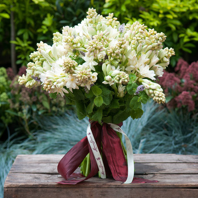 Tuberose Bouquet Delivery - Moyses Stevens Flowers
