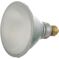 Coated Bulb - 90W/130V - 381601