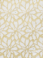 Lace H697 White/Gold