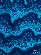 Embellished Vlisco Dutch Wax LTDEW143