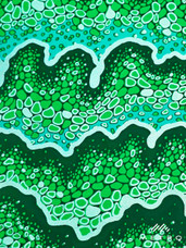 Embellished Vlisco Dutch Wax LTDEW144