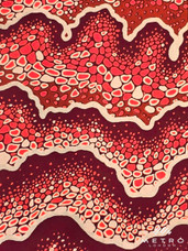 Embellished Vlisco Dutch Wax LTDEW149