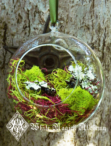 Faerie Orb with Forest, Spanish and Reindeer Moss . Faerie Gardens . Magical Garden Decor