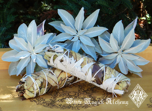 Yerba Santa and White Sage Smudge Wand 5" for Banishing Negative Energy, Clearing, Renewal