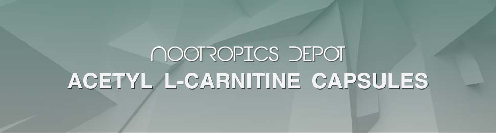 Acetyl L-Carnitine Capsules
