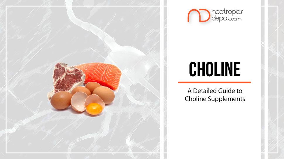 Ultimate Guide to Nootropics Part 6 Choline Supplements