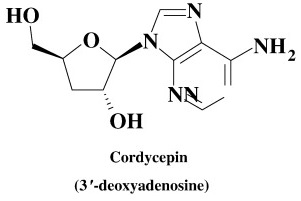 Cordycepin Structure