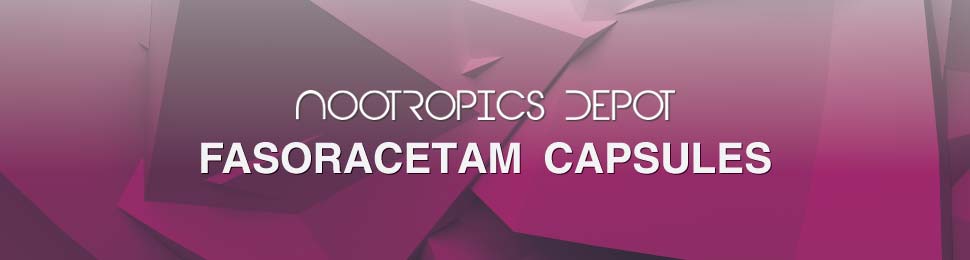 Buy Fasoracetam Capsules Buy Fasoracetam Capsules