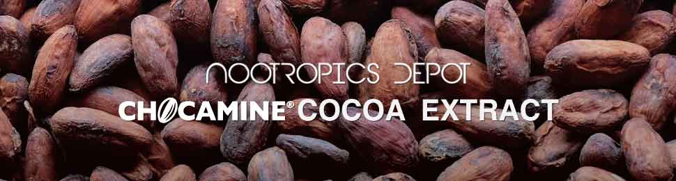 Buy Chocamine Cocoa Extract