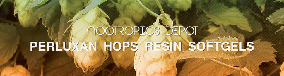 Buy Hops Extract Softgels Buy Perluxan Hops Resin