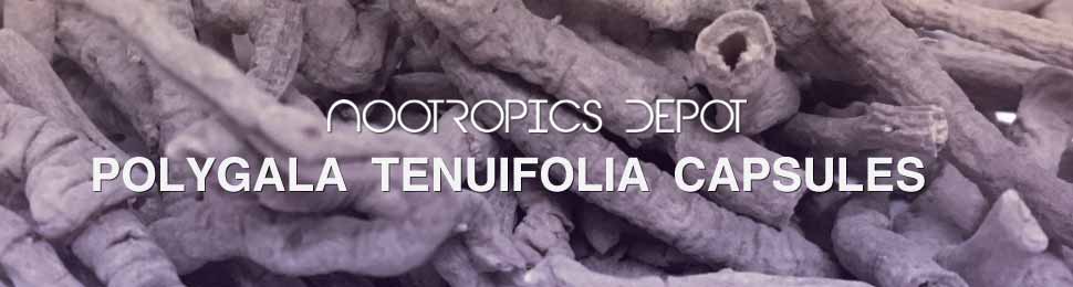 Polygala Tenuifolia Capsules