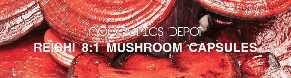 Buy Reishi Mushroom Capsules