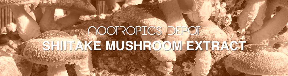 Buy Shiitake Mushroom Extract Powder