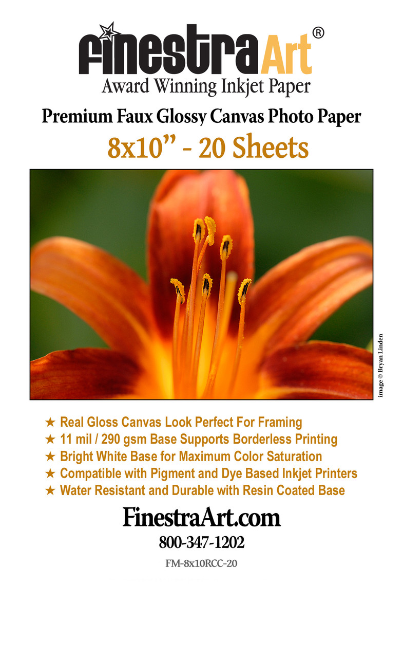 50 sheets Epson Premium 4x6 Semi-gloss Photo Paper