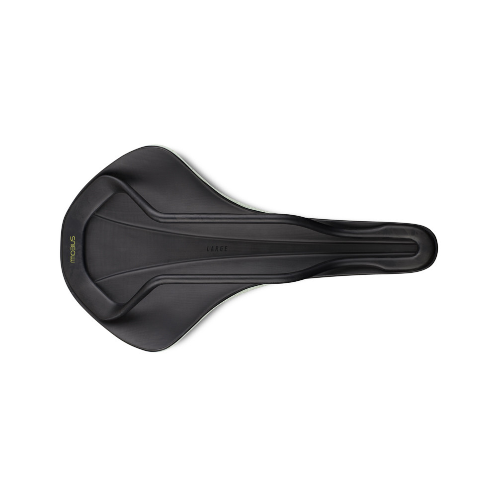 Fizik Antares Versus Evo 00 Adaptive Singapore | Sixfive.com.sg