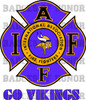 Minnesota Vikings
