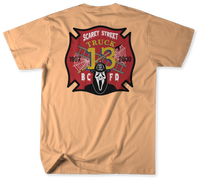 Unofficial Baltimore County Fire Department Station 13 Shirt v1