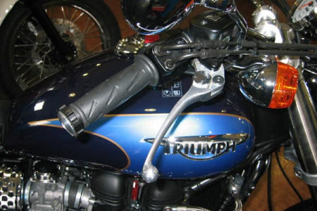 kaoko-triumph-am.jpg