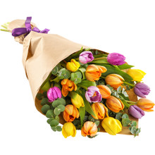 Mixed colors tulips arranged hand tied for delivery anywhere in Sweden.