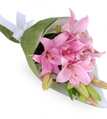 Pink lilies hand tied Sweden.