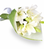 White lilies bouquet hand tied Sweden florist delivered.