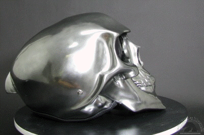 chrome-skull-motorcycle-helmet.gif chrome-skull-motorcycle-helmet.gif