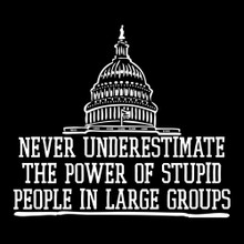 Image result for Never Underestimate The Power Of Stupid People In Large Groups