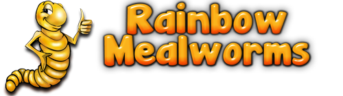 download mealworms rainbow