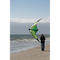 HQ Bebop Lime Dual Line Stunt Kite Flying