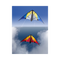 Tango Blue Lightwind Stunt Kite Flying