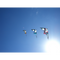 HQ Devil Wing 1.7 Speed Line Stunt Kite Flying