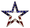 Patriotic Outline Star Brooch/Pin