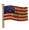  American Flag Crystal Pin