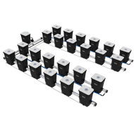 Current Culture Under Current XL13, RDWC System, 24-Site, 4-Rows
