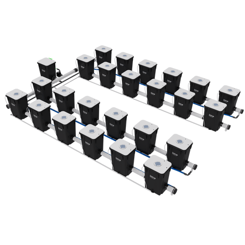 Current Culture Under Current XL13, RDWC System, 24-Site, 4-Rows