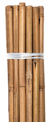 Grower's Edge Natural Bamboo 8 foot stakes (50 per bag) in Bulk (740765) UPC 10847127004798
