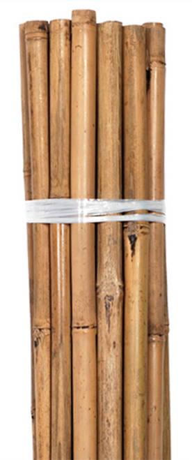Grower's Edge Natural Bamboo 8 foot stakes (50 per bag) in Bulk (740765) UPC 10847127004798
